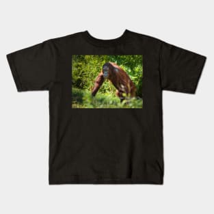 Orangutan in the forest Kids T-Shirt